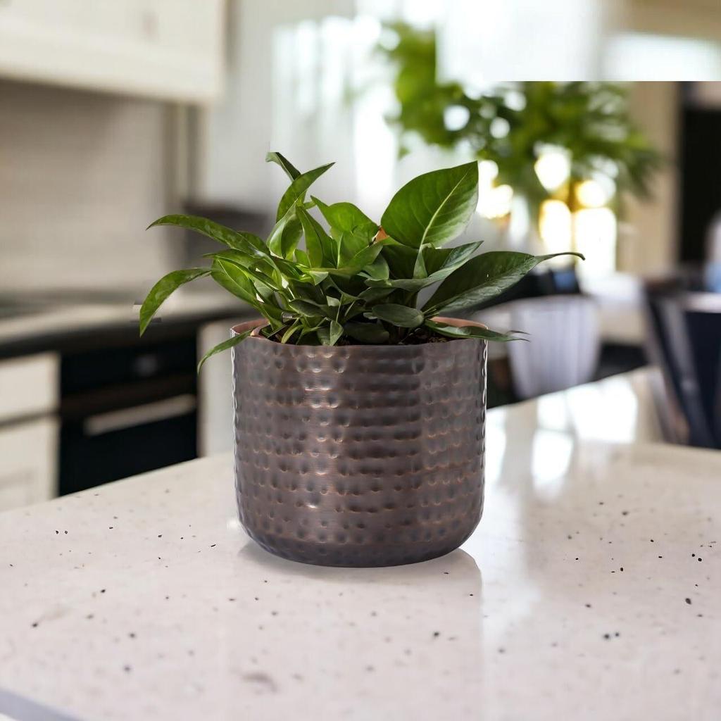 Ghiveci de plante Adam Metal de 5,5 inci, Ghivece de flori decorative moderne de interior, Jardineră decor pentru casă și grădină