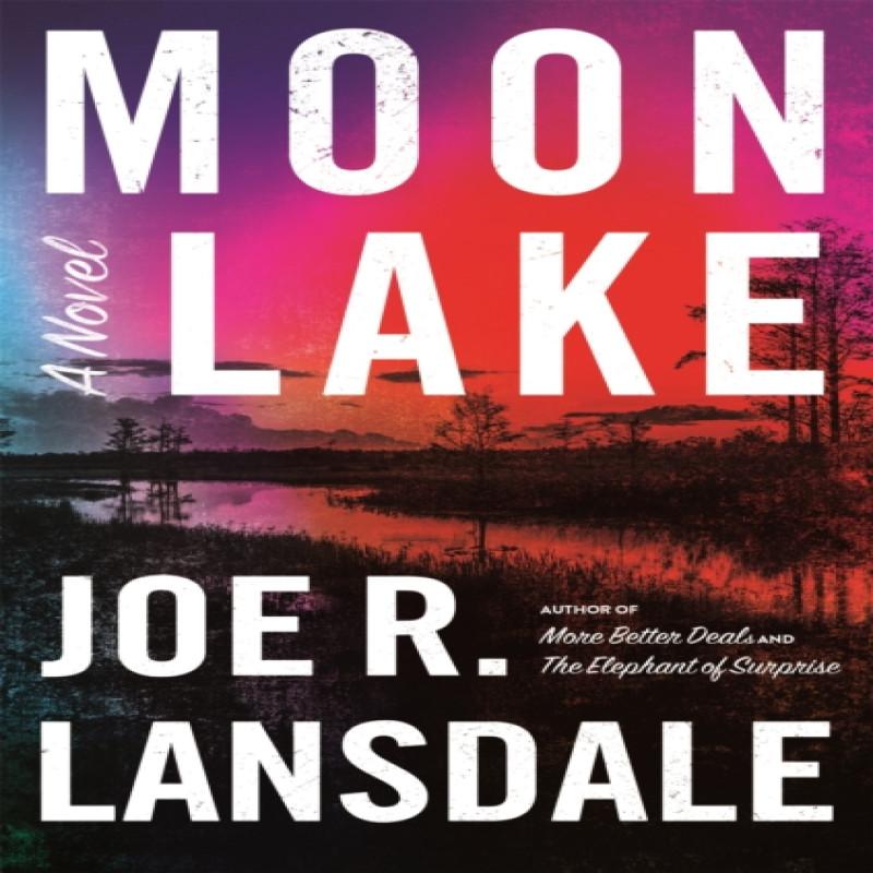 Moon Lake by Joe R. Lansdale Hardback Book 9780316540643
