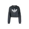 Originals Solid Logo Print Cropped Long Sleeve Sweatshirt Women Sweatshirt Black HU1609