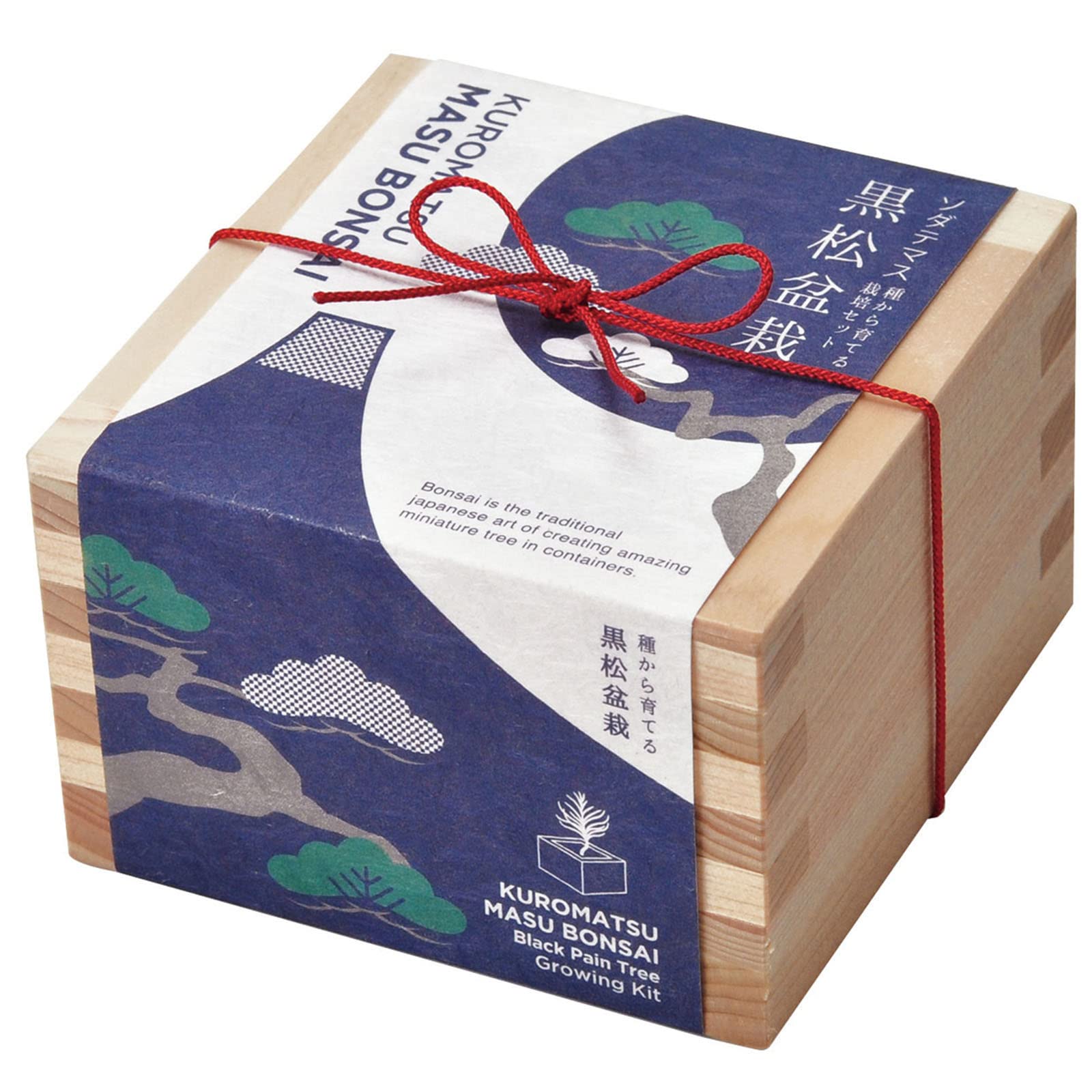 

Набор для выращивания бонсай Seishin Pottery Sodatemasu, Сосна черная, Подарок для дома и сада, Бонсай в японском стиле