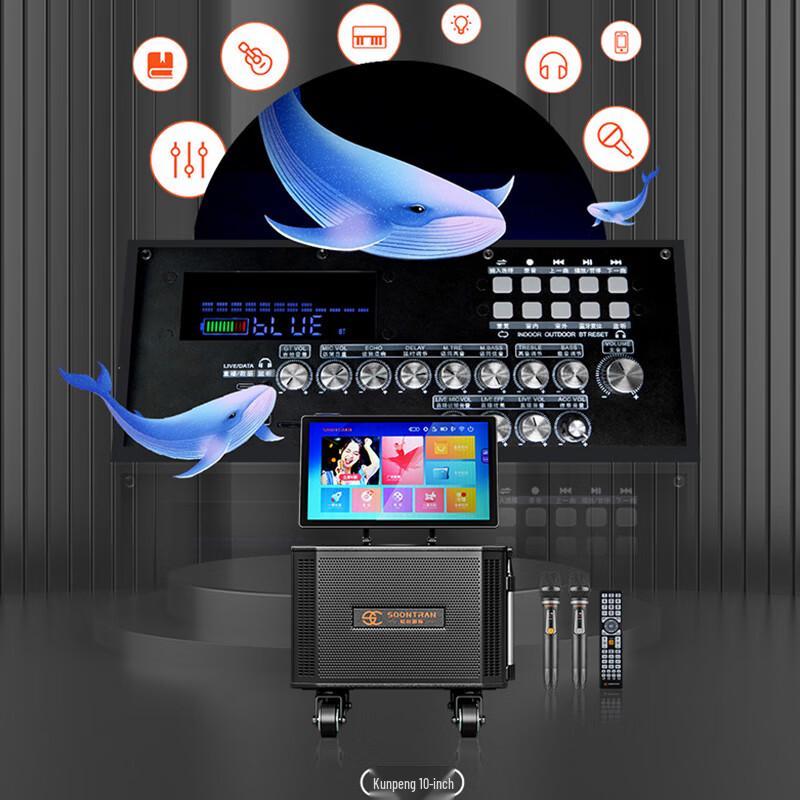 Songchuan SG30-10 Outdoor Karaoke Video Speaker CN plug (adapter included)