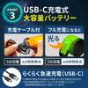 Livify plus Running Light LED Arm Band Rechargeable USB Walking