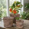 Decorațiuni pentru casă – Ghivece de flori decorative