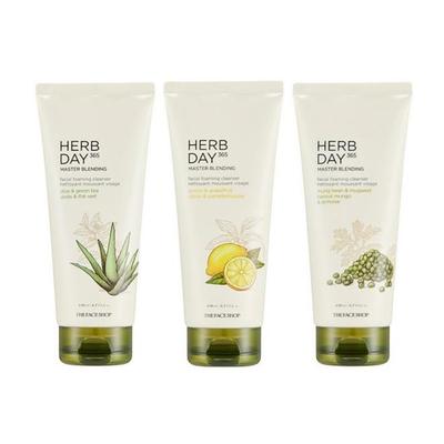 Herb Day 365 Master Blending Cleansing Foam (4 Options)