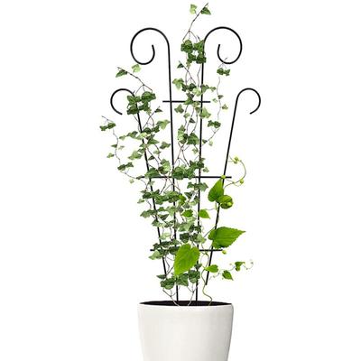 Potted Garden Accessories Leaves For Flower Pot Plant Climbing Frame Flower Leaves Support Stick Climber Pole Plant Fixed Stake