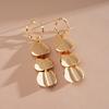 Round Metal Drop Earrings Iron Ear Pendant Personality Circular Tassel Earrings  Travel
