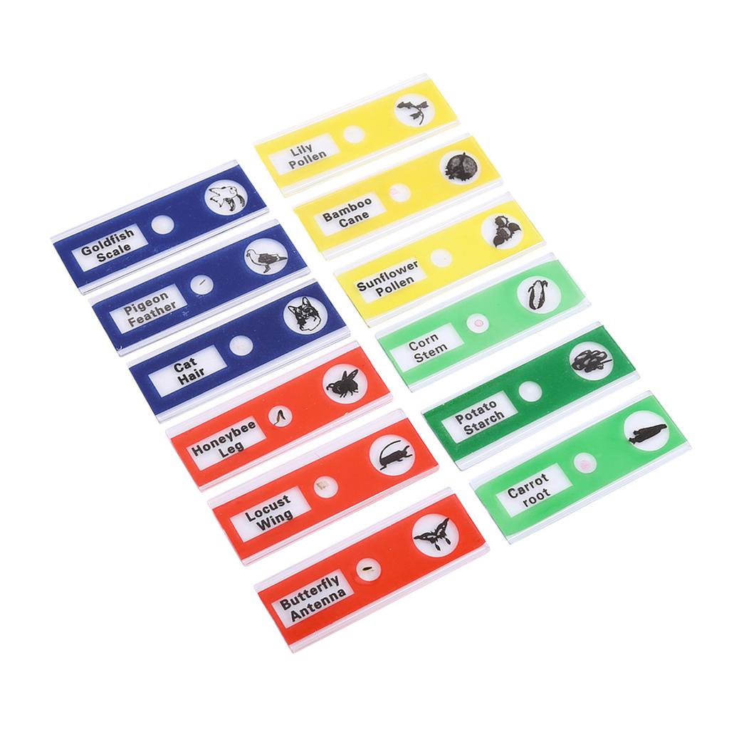 12pcs Plastic Prepared Microscope Slides Animals Insects Flowers Plants Mix Color