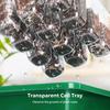 Growing Starting Nursery Trays Seed Starter Kit with Adjustable Humidity Dome and Base Indoor Greenhouse Mini Propagator Seeds