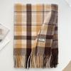 Scarf New imitation cashmere color plaid scarf female Korean version autumn and winter plaid scarf fringed shawl scarf