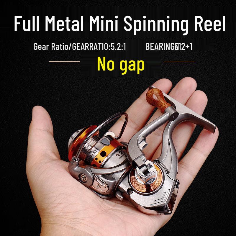 Palm Treasure Micro Spinning Reel for Rock Fishing