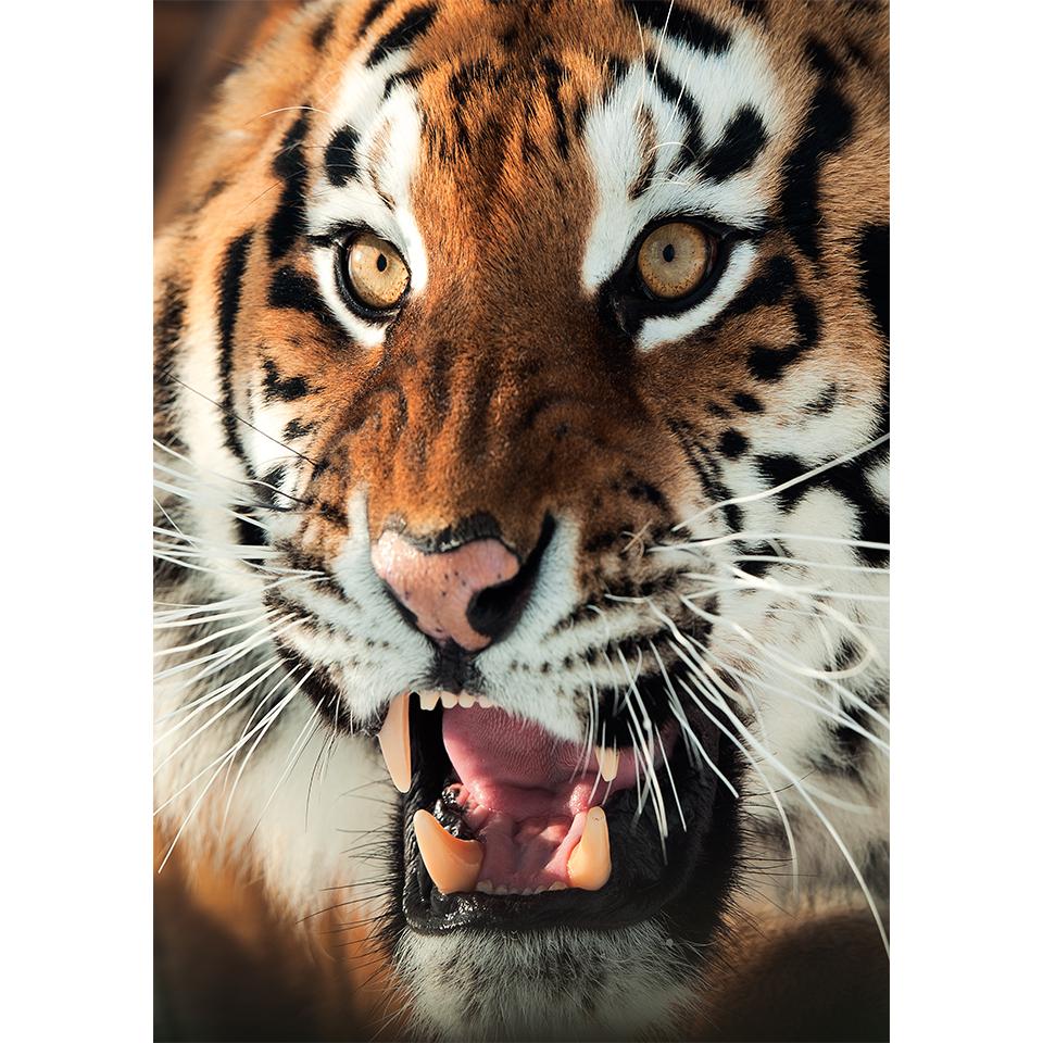 5D DIY Diamond Painting Animal Tiger Rhinestone Art Picture Full Diamond Embroidery Mosaic Home Decor Gift Kit