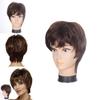 Short Curly Wig With Hightemperature Silk For Fashionable African Style For Women
