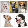 Hundehalsband mit individueller Gravur, personalisiertes Hundehalsband aus Nylon mit Hundemarke, bedrucktes Namensschild für Welpen und Katzen, ID-Halsbänder für kleine und große Hunde