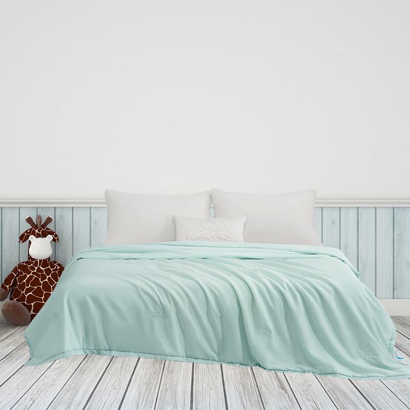 

Mercury Home Textiles Camellia Whisper Washable Lyocell Silk Quilt