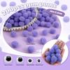 200pcs Colorful Pom Poms 1 Inch Craft Pom Poms Balls Arts and Crafts Supplies with 100pcs Googly Wiggle Eyes for DIY Crafts