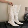 Fashion Fashion Buckle Women Knee High Western Boots With Heels Shoes Female Pointed Toe Footwear Modern Ladies Long Booties Pumps Shoes