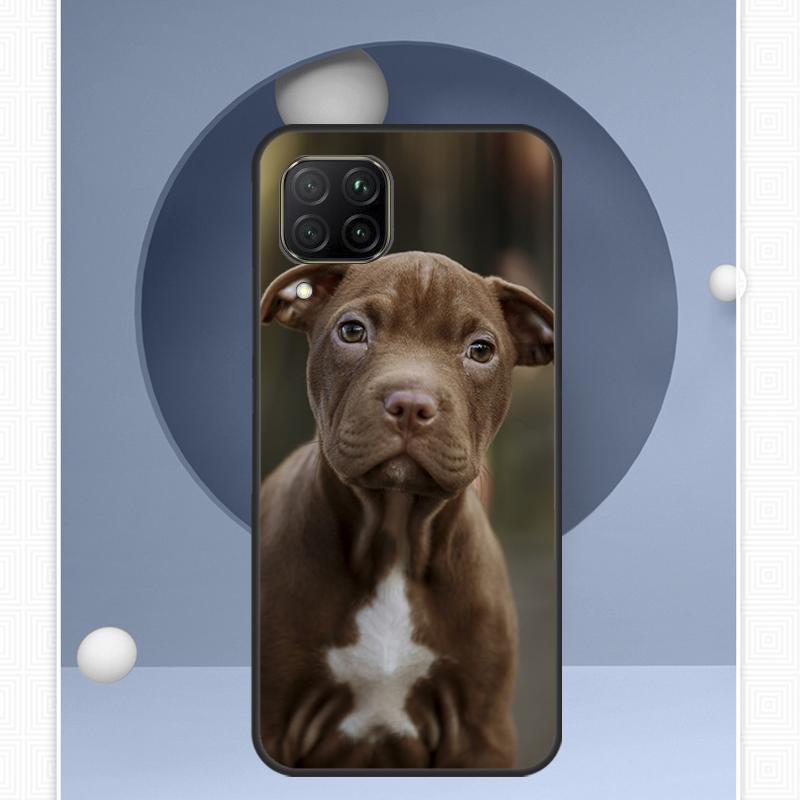 Pitbull Dog For Huawei Nova Y72 Y90 Y61 Y91 Y60 Y70 12s 12i 11i 8i 9 10 SE P20 P40 Lite P60 P30 Pro Case