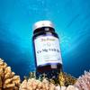 Calcium + Magnesium + Vitamin D + Zinc X 3 Bottles (9-month Supply) / Kalmadi