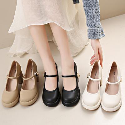 Scarpe Mary Jane francesi inglesi con cinturino singolo Scarpe piccole in pelle Tacco spesso Tacco alto Scarpe singole