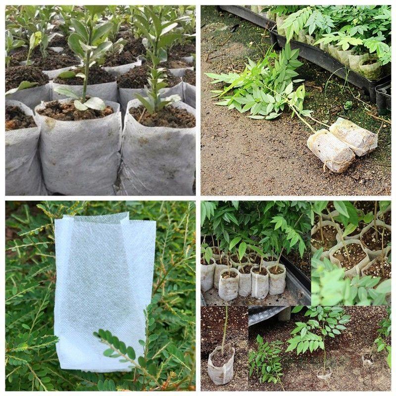 25/50/100pcs Biodegradable Nonwoven Fabric Nursery Plant Grow Bags Seedling Growing Planter Planting Pots Garden Eco-Friendly Ventilate Bag