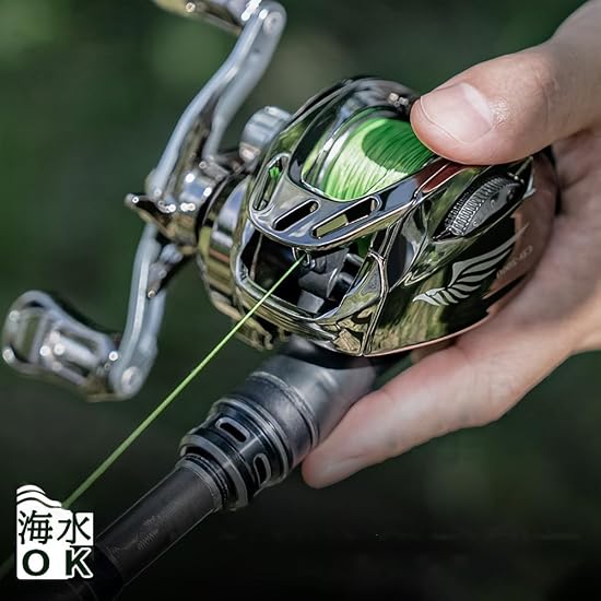 Baitcasting Reel, Lightweight, Long Casting, Powerful Magnetic Brake, Max Drag 6kg, Gear Ratio 6.3:1