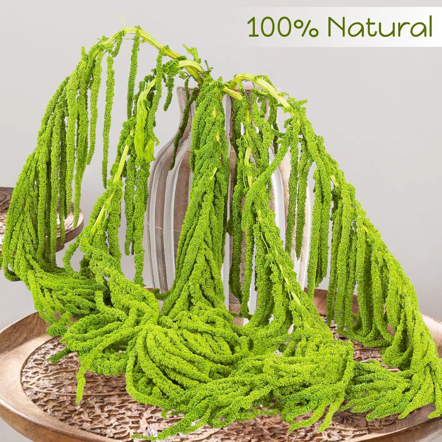 7Pcs Green Dried Amaranthus Hanging Flowers - 100% Natural Dye Neon Green 23  Real Amaranthus , Preserved Dried Flowers for Wedding Arch Decor,