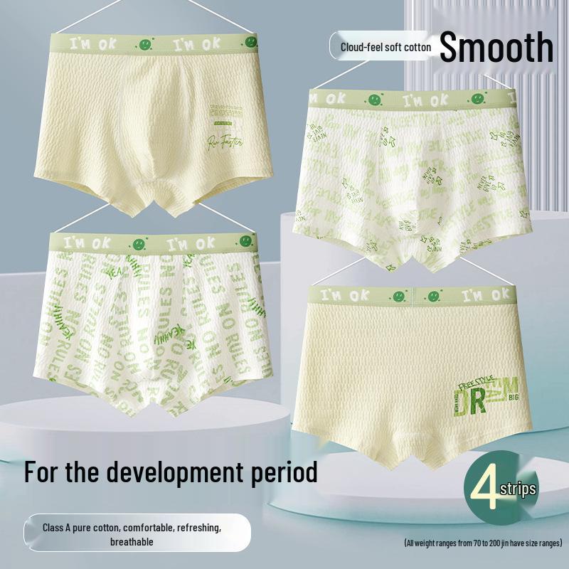 

Plus Size Cotton Boxer Briefs for Teenage Boys, Middle and High School Students L 90-120 lbs