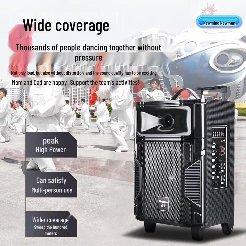 Newmine L23 Portable Outdoor Bluetooth Speaker with Wireless Microphone CN Plug (adapter Included)