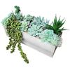 Miniature Artificial Potted Plant Set Of 11 Artificial Potted Plant Decoration For Home Office Table Centerpieces