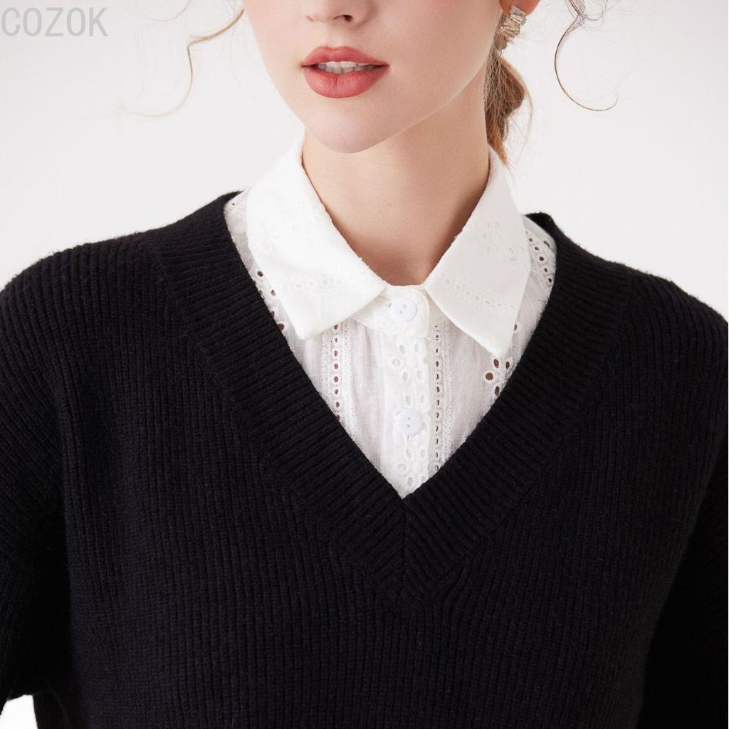 Women's Solid Colour Black White Vertical Small Flip Collar Versatile Shirt Jumper Jumper Fashion Lace False Collar Four Seasons