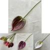 Realistic Faux Anthurium Plant Soft Touch Decoration For Wedding Photography