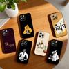 ART P- Punjab Karte Handyhülle Silikon Weich Für IPhone 17 16 15 14 13 12 11 X XR Plus Pro Max Plus