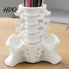 Unique Office Accessories Simulated Spine Pen Holder Creative Skeleton Desktop Organizer Durable Novelty Container PLA 3D Printed Anatomy