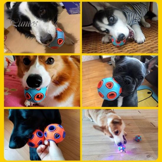 Hundeballer med klokkelyd Gummi hoppende henteball Tyggemotstandsdyktige tenner rengjøring Anemone Interaktiv ball for valper Små mellomstore hunder Interaktiv