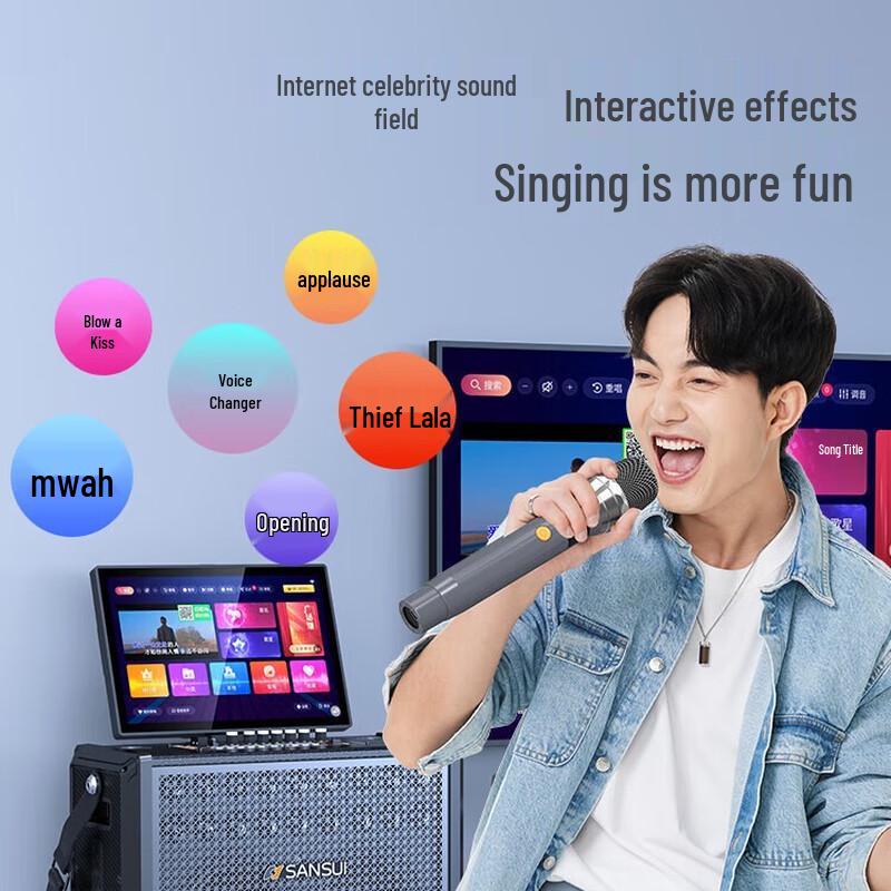 Sansui C13 Outdoor & Home KTV Karaoke System