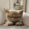 Whimsical Cat Art Case Plush Fabric Soft Pillowcase Double Sided Print Cushion Cover Household Gifts