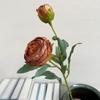 Artificial Peony Flower Head with Scorched Edge - Rich Peony Bouquet for Living Room Decoration