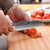 5 Inch Santoku Knife High Carbon Steel Kitchen Chef's Knife Suitable for Slicing Vegetables and Fruits