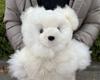 [USED] Alpaca Teddy Bear, 100% Baby Alpaca, Large Size