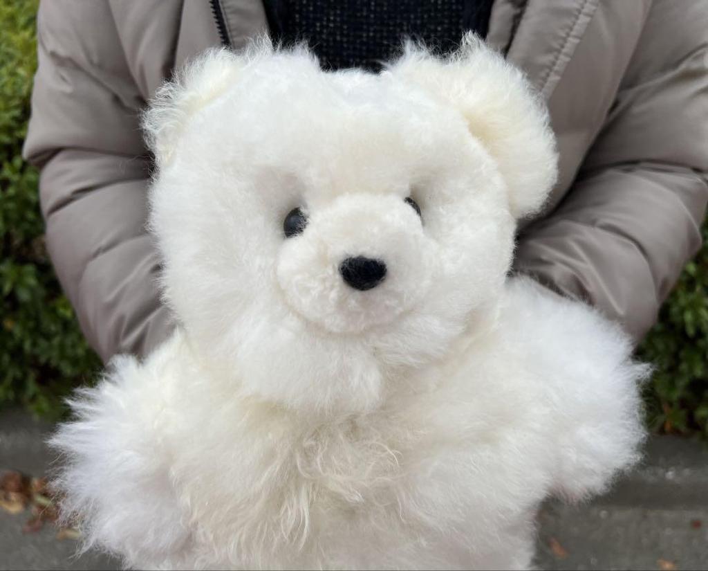 [USED] Alpaca Teddy Bear, 100% Baby Alpaca, Large Size