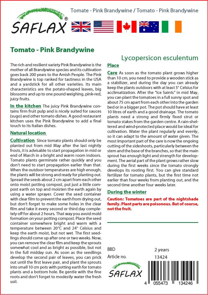 SAFLAX Tomato - Pink Brandywine - 10 Seeds - Lycopersicon Esculentum