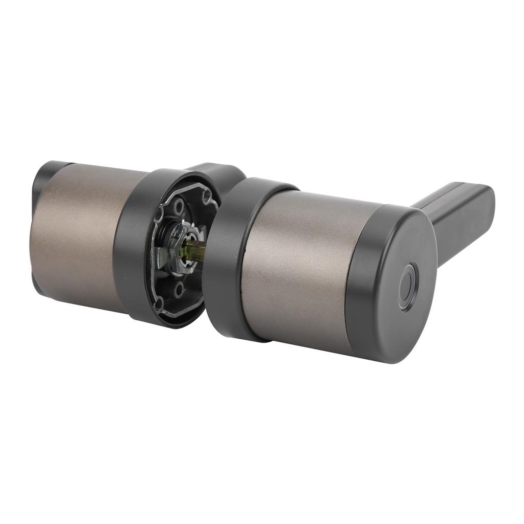 Fingerprint Lock 3 Lever Electronic Intelligent Keyless Entry for Office Study Room