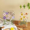 Nordic Simple Acrylic Photo Frame - 6-7 Inch DIY Dried Flower Pressed Specimen