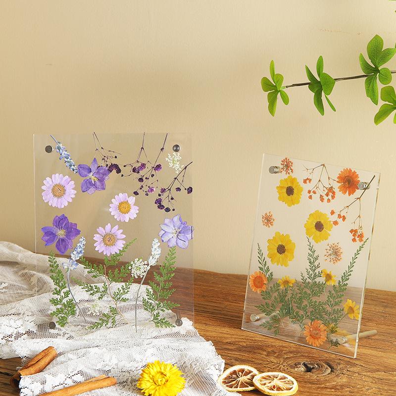 Nordic Simple Acrylic Photo Frame - 6-7 Inch DIY Dried Flower Pressed Specimen