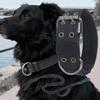 Collar For Dogs Wide Pet Traction Supplies With Leashes Wide Collar For Dogs For Walking Exercise Obedience Training Camping
