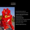Adult Southern Lion Dance Costume & Props