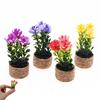 Artificial Plants for Room Mini with Vase, Small Fake In Handwoven Seagrass Indoor Greenery Baskets, Realistic Faux Floral Arrangement Shelf