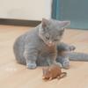 Realistisches Katzen-Maus-Spielzeug Weicher Gummi-Teaser mit Bissfestem Design für Kätzchen Zahndurchbruch Training Spielen Interaktives Haustierspielzeug