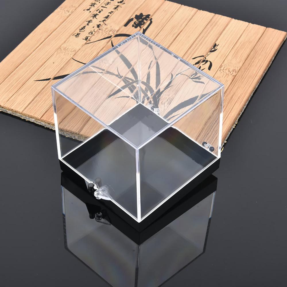 1-10Pcs Cube Transparent Plastic Box Cat Mineral Box Mineral Label Box Mineral Crystal Specimen Display and Collection Box