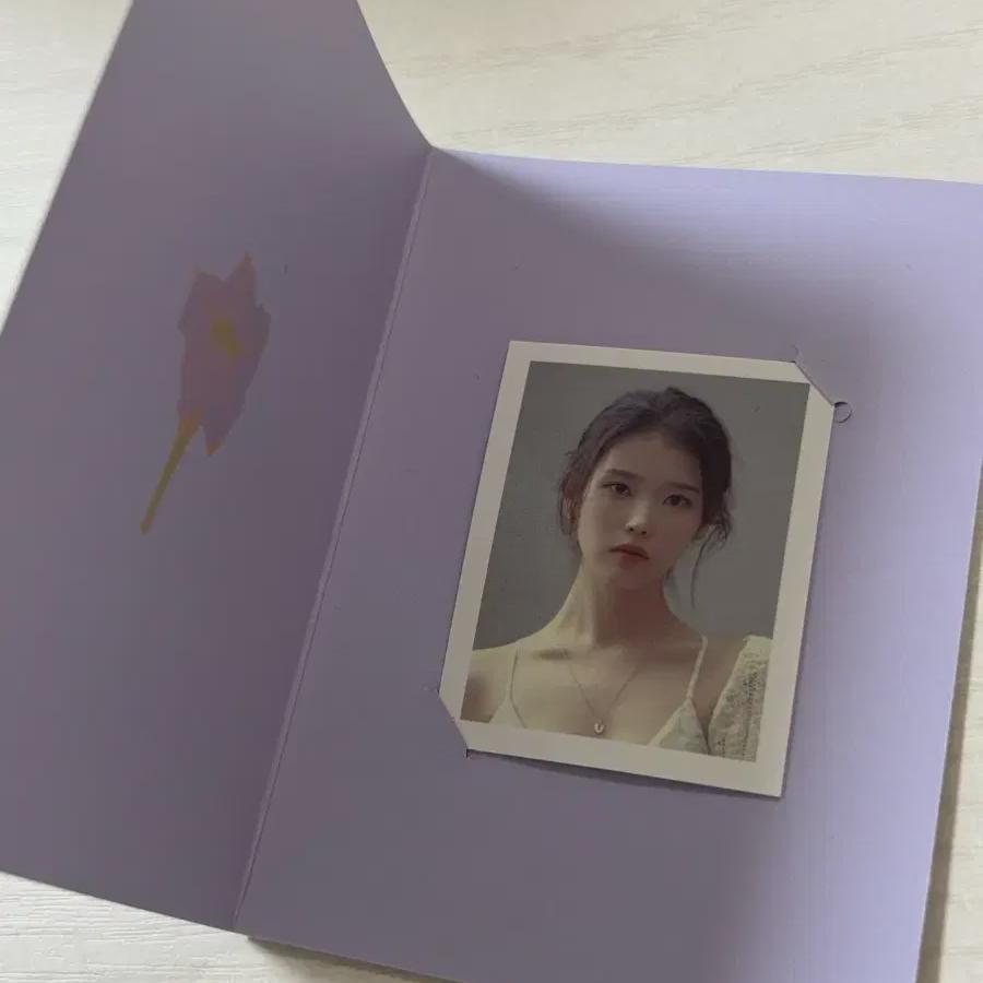 

Iu Lilac Stock Exchange
